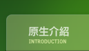 原生介紹 原生介紹